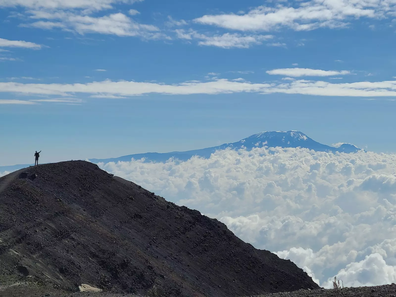 Team Kilimanjaro
